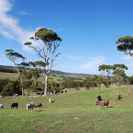 Back Valley Farmstay Bed And Breakfast Victor Harbor Exterior photo