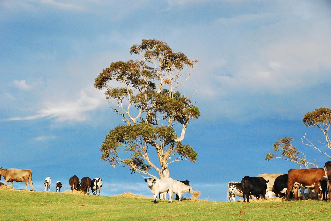 Back Valley Farmstay Bed And Breakfast Victor Harbor Exterior photo